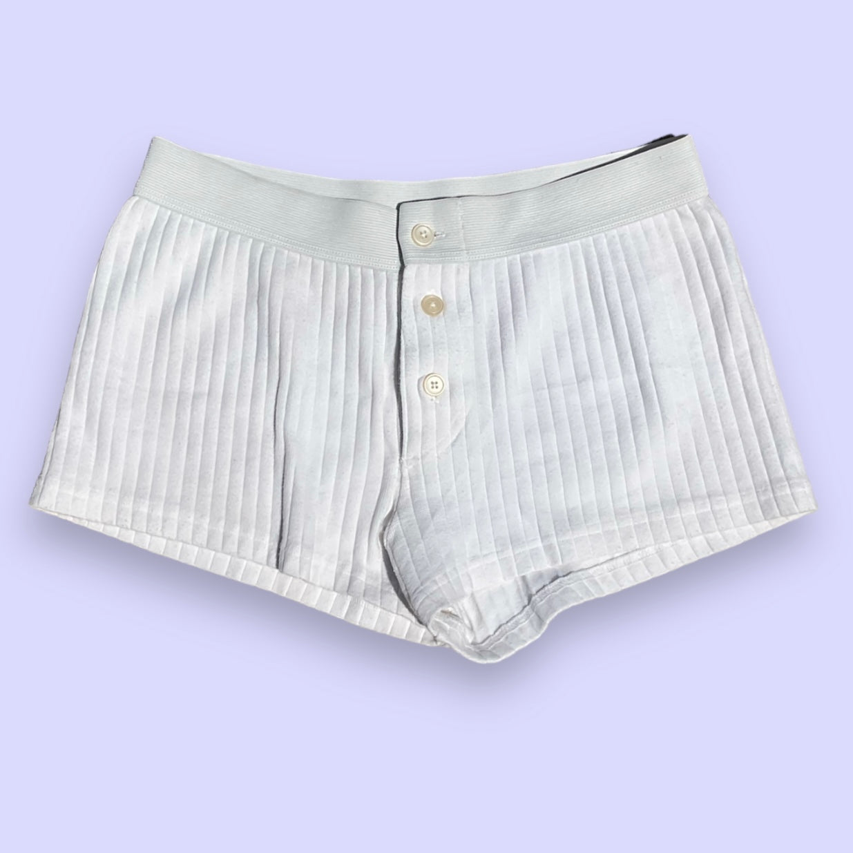 Brandy Melville Boyshort Thick Ribbed Underwear