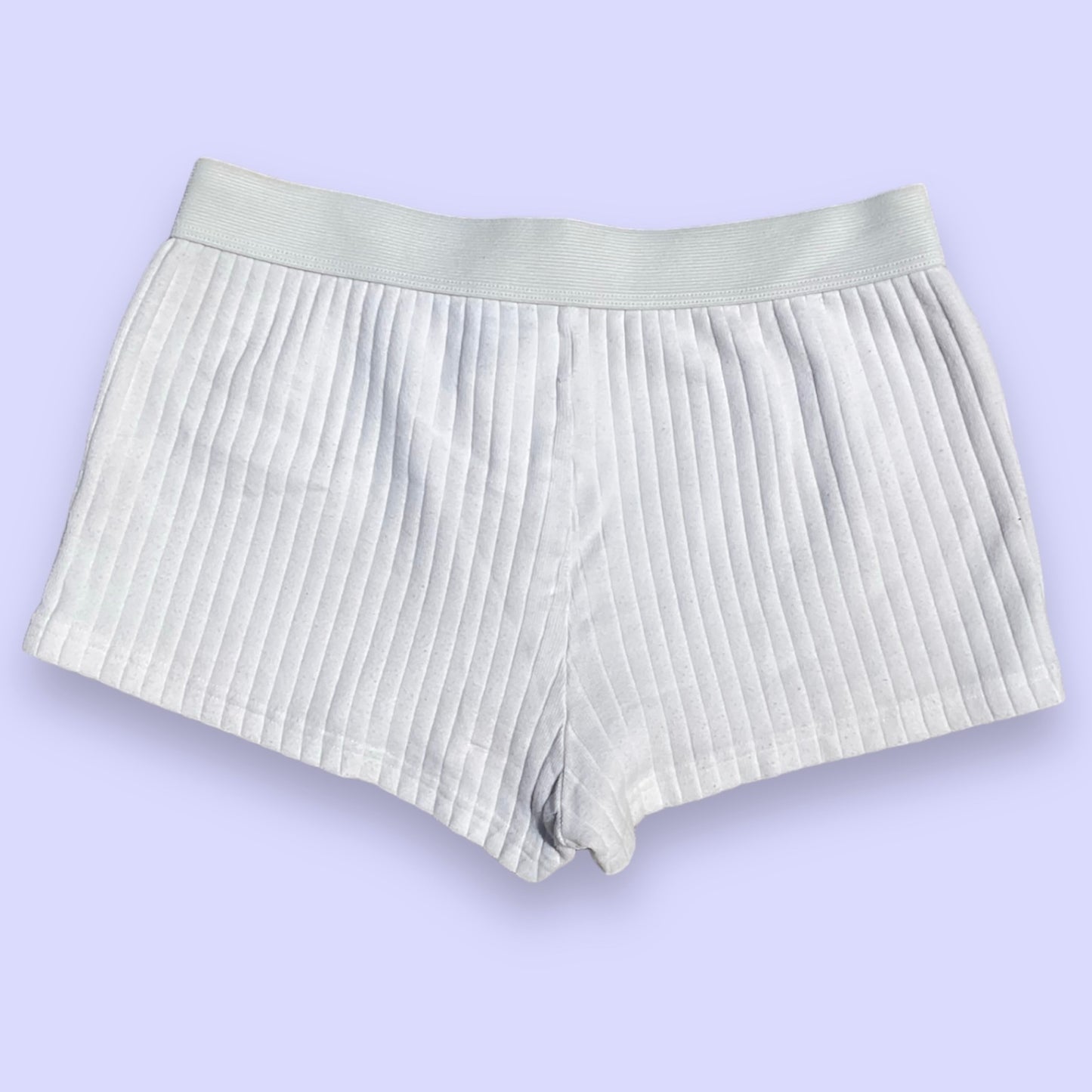 Brandy Melville Boyshort Thick Ribbed Underwear