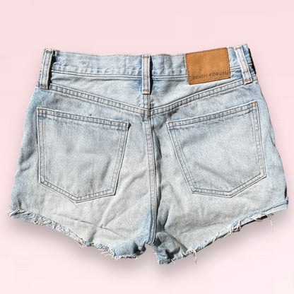 Aritzia Cheeky Denim Shorts