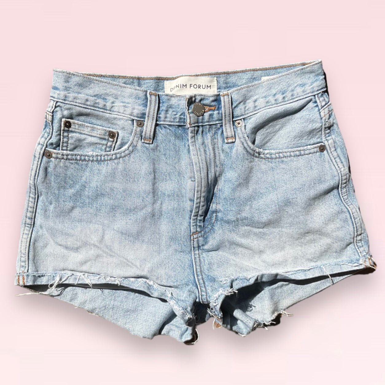 Aritzia Cheeky Denim Shorts